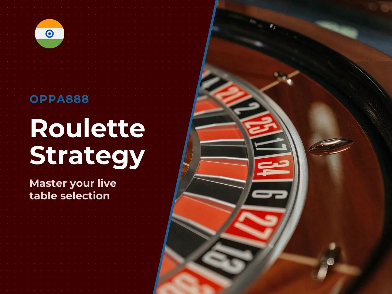 How to Select the Ideal Live