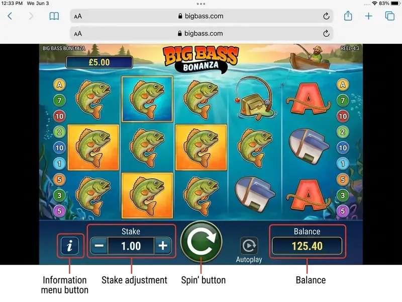 big bass bonanza play interface controls and betting panel